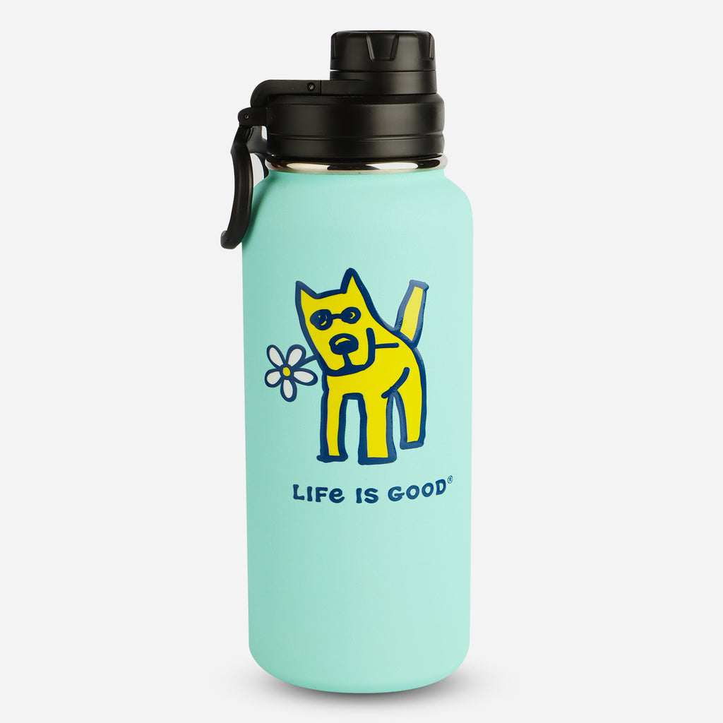 Wide Mouth Stainless Steel Green Thermos Water Bottle Golden Dog